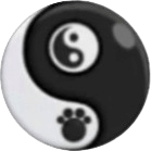 【噠噠特攻】楊大師(Master Yang) - 第10張圖 陰狀態