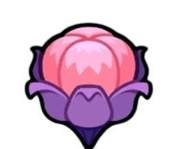 魔法果實