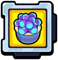 Magic Succulent